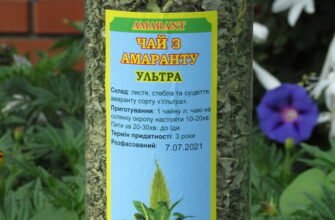 Лікувальні властивості амаранту: користь для здоров’я і як вживати