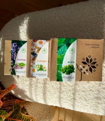 Лікувальні властивості чебрецю: природне здоров’я та користь для вас