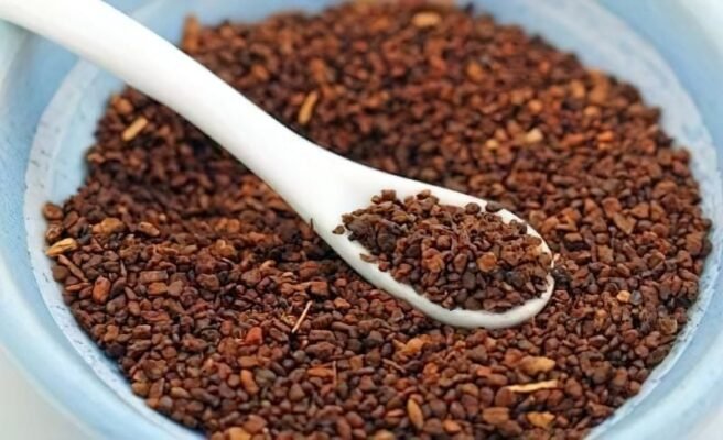 Лікувальні властивості кореня цикорію: користь для здоров’я та рецепти