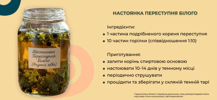 Лікувальні властивості листя пирію: секрети природи для вашого здоров’я Лікувальні властивості листя пирію: секрети природи для вашого здоров’я