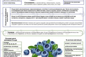 Лікувальні властивості листя яблуні: користь для здоров’я та краси