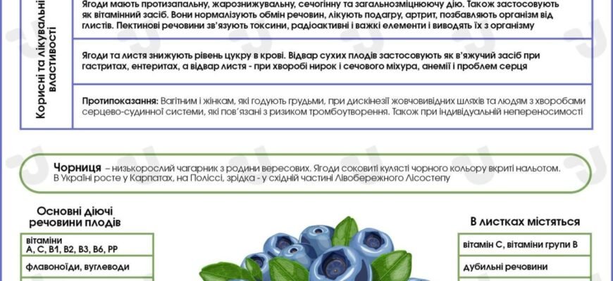 Лікувальні властивості листя яблуні: користь для здоров’я та краси