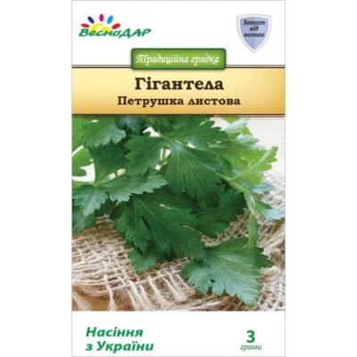 Лікувальні Властивості Насіння Петрушки: Секрети Здоров’я І Краси