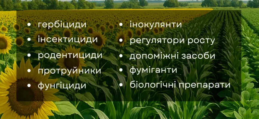 Лікувальні Властивості Осоту Польового: Застосування та Користь Рослини Лікувальні Властивості Осоту Польового: Застосування та Користь Рослини