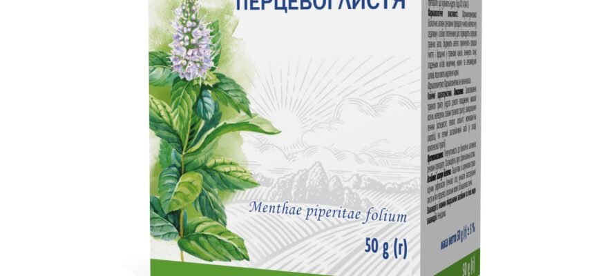Лікувальні властивості плакучої верби: природна аптека вашого саду