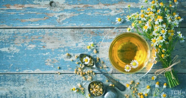 Лікувальні властивості ромашки: як допоможе вашому здоров’ю