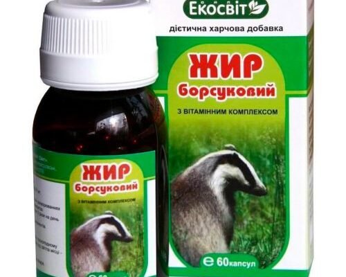 Лікувальні властивості шроту льону: природний засіб для здоров’я Лікувальні властивості шроту льону: природний засіб для здоров’я