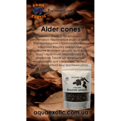 Лікувальні властивості шишок вільхи: докладний огляд для здоров’я