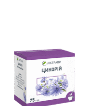 Лікувальні властивості цикорію: користь, застосування та ефективність