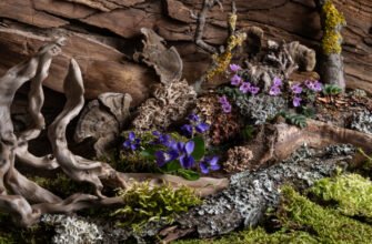 Магічні властивості каменів: розкриття енергії та сили мінералів