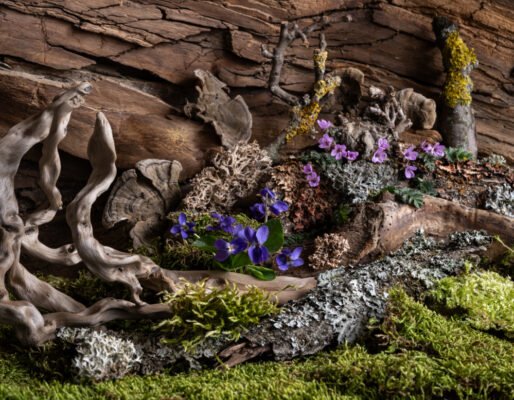 Магічні властивості каменів: розкриття енергії та сили мінералів