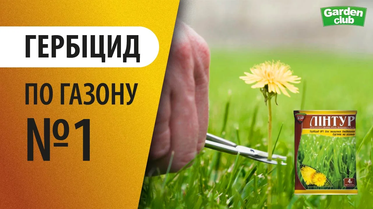Як обрати найбезпечніший хімічний препарат для боротьби з бур'янами