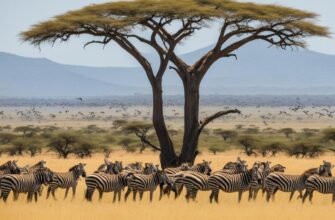 Неймовірні факти про тварин Африки: відкрий світ дикої природи