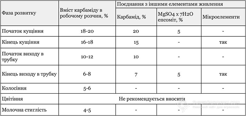 Позакореневе підживлення озимої пшениці: коли і чим — SuperAgronom.com
