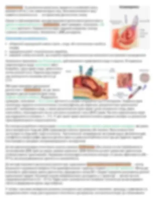 Оптимальні терміни вагітності: визначення та важливі аспекти розвитку