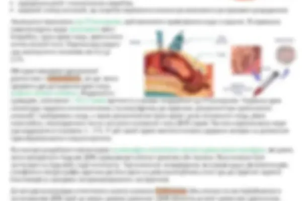 Оптимальні терміни вагітності: визначення та важливі аспекти розвитку