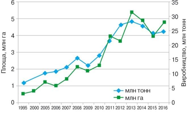 Оптимальний розрахунок: Скільки кукурудзи потрібно для 10 соток?