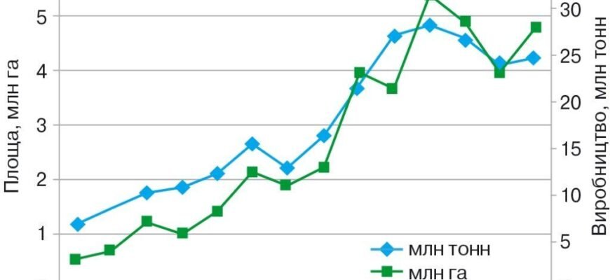 Оптимальний розрахунок: Скільки кукурудзи потрібно для 10 соток?