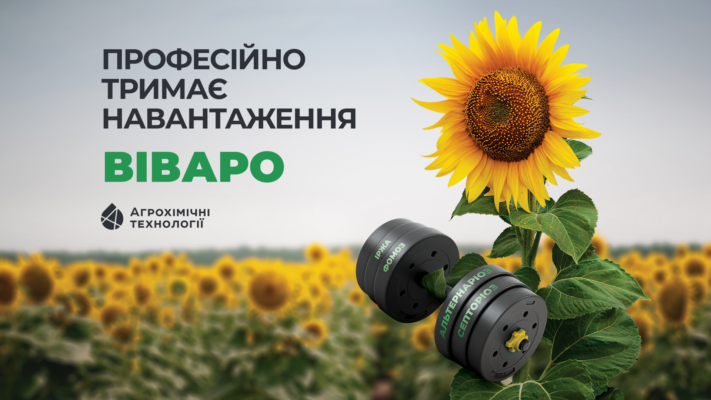 Оптимальний термін очікування після обробки: що потрібно знати?