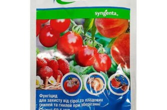 Оптимальний термін очікування використання світчу для винограду
