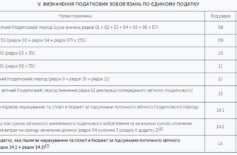 Оптимальний термін подачі декларації для ФОП 2 групи у 2023 році