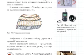 Основні фізико-хімічні та механічні властивості деревини для Google SEO