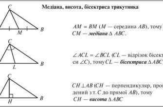 Основні властивості бісектриси: як її використовувати у геометрії