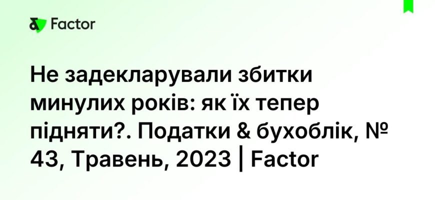 Перенесення збитків минулих років у 2024: покрокова інструкція та поради