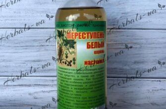 Переступень: лікувальні властивості та користь для вашого здоров’я