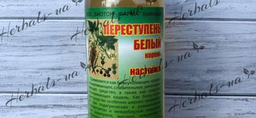 Переступень: лікувальні властивості та користь для вашого здоров’я