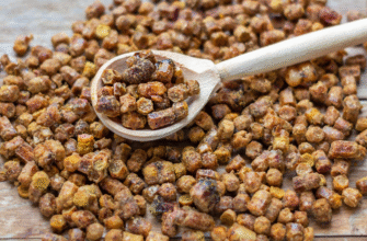 Перга бджолина: лікувальні властивості та користь для здоров’я