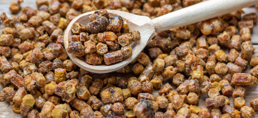 Перга бджолина: лікувальні властивості та користь для здоров’я