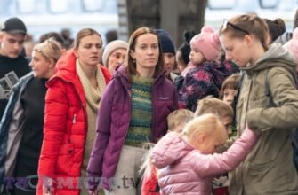 Песель: термін дії та вплив на життя громадян України