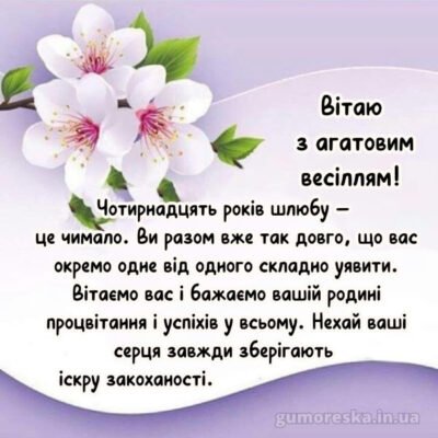 Прикольні привітання з річницею весілля 14 років для друзів і рідних