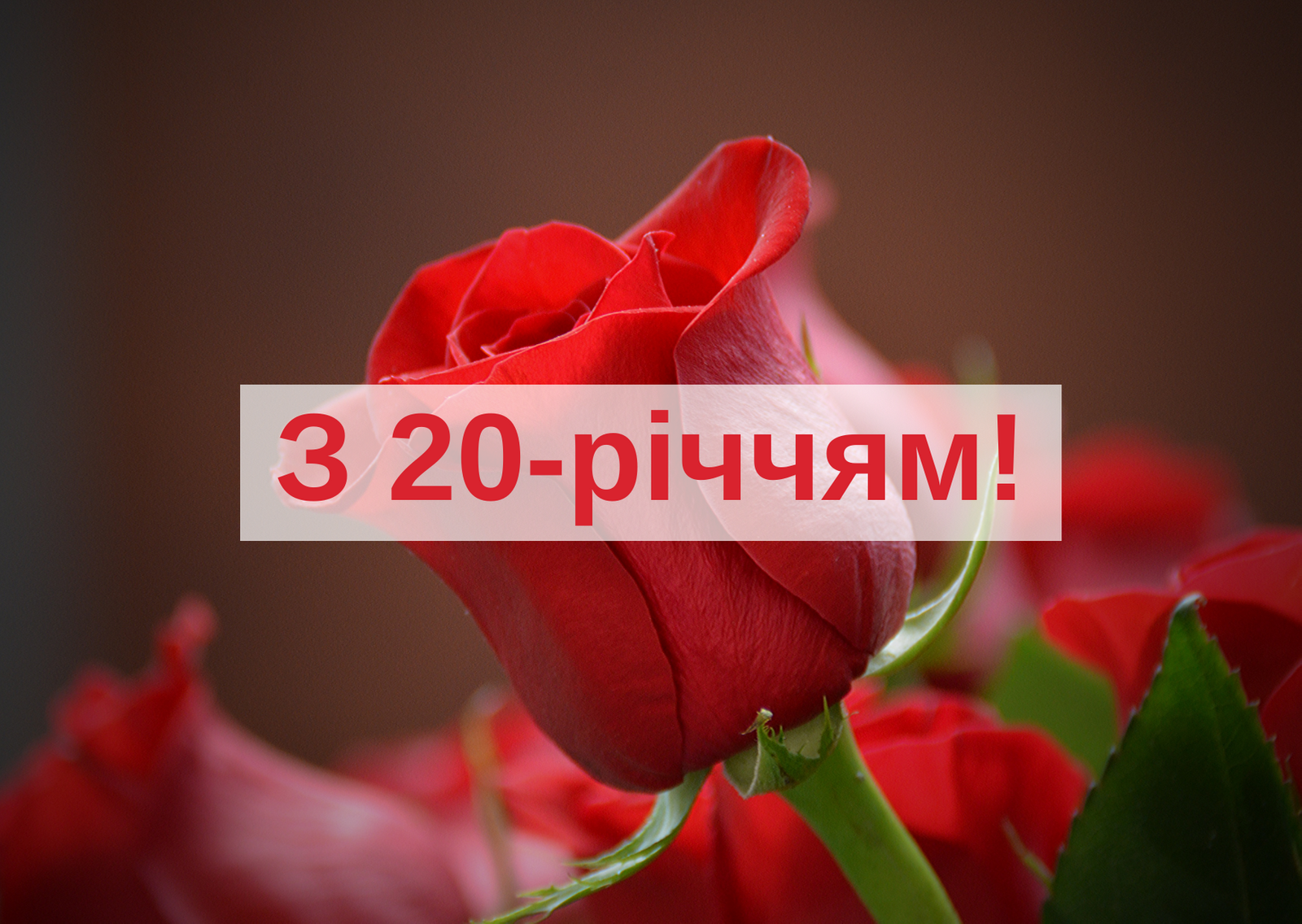 Вітання з 20 річчям дівчині: ідеї та поради для незабутнього ...