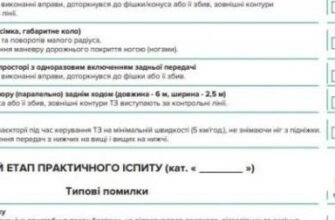 Що брати з собою на практичний іспит з водіння: повний перелік речей