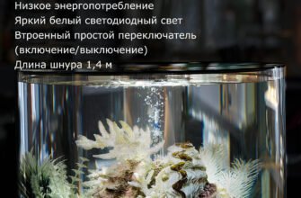 Що необхідно для старту акваріума: основні обладнання та аксесуари