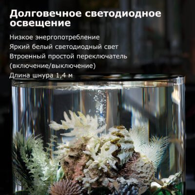 Що необхідно для старту акваріума: основні обладнання та аксесуари