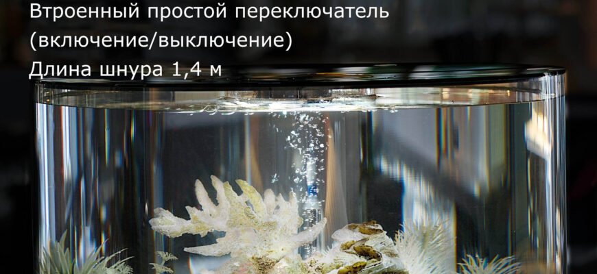 Що необхідно для старту акваріума: основні обладнання та аксесуари