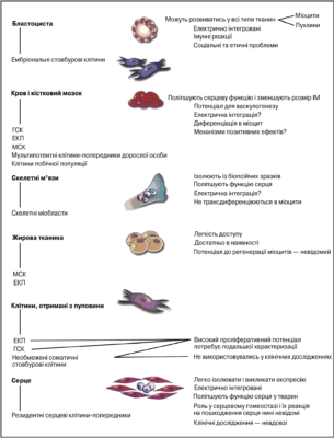 Що таке експансія: визначення, значення та приклади використання