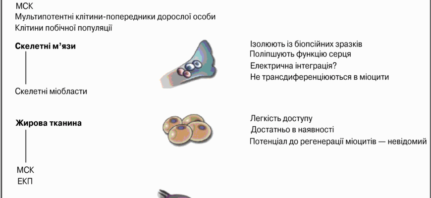 Що таке експансія: визначення, значення та приклади використання