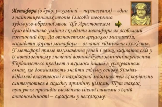 Що таке метаморфоза: визначення, процеси та приклади з природи