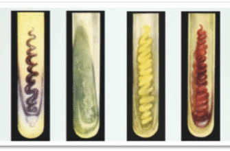 Що таке тинкторіальні властивості: визначення, особливості та значення