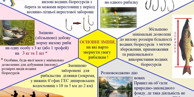 Що знадобиться рибалці: необхідні речі та поради для успішного улову