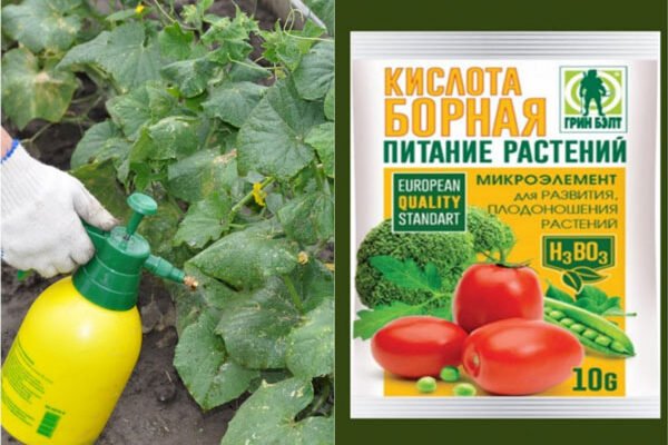 Скільки грамів борної кислоти потрібно для розчину у 10 літрах води?