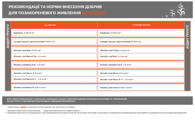 Скільки карбаміду потрібно для добрива 1 гектара кукурудзи: поради та норми