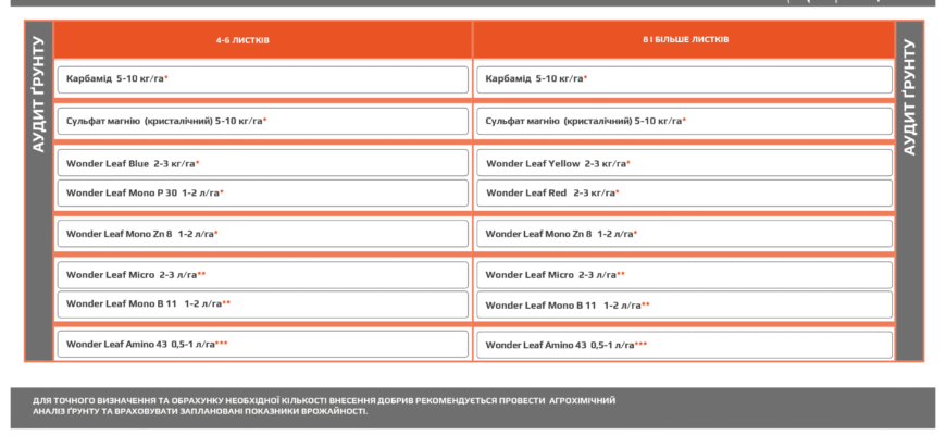 Скільки карбаміду потрібно для добрива 1 гектара кукурудзи: поради та норми