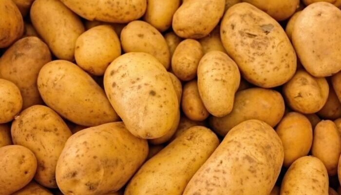Скільки картоплі висадити на 1 га: оптимальні норми та поради