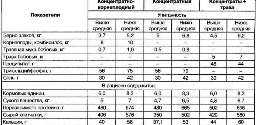 Скільки корму потрібно для ефективного відгодівлі свині: ключові поради