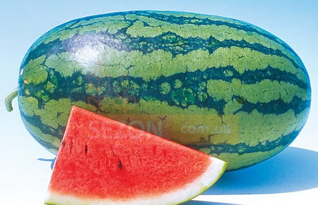 Скільки насіння кавуна потрібно для ефективного засіву 1 гектара?